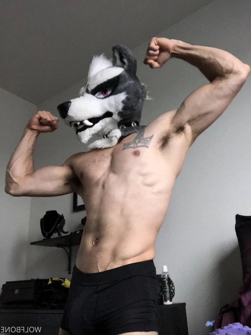 Mr. Wolf 🐺 🌟 [ frute_brute ] Onlyfans leaked photo 3190300 on Hotleaks.tv