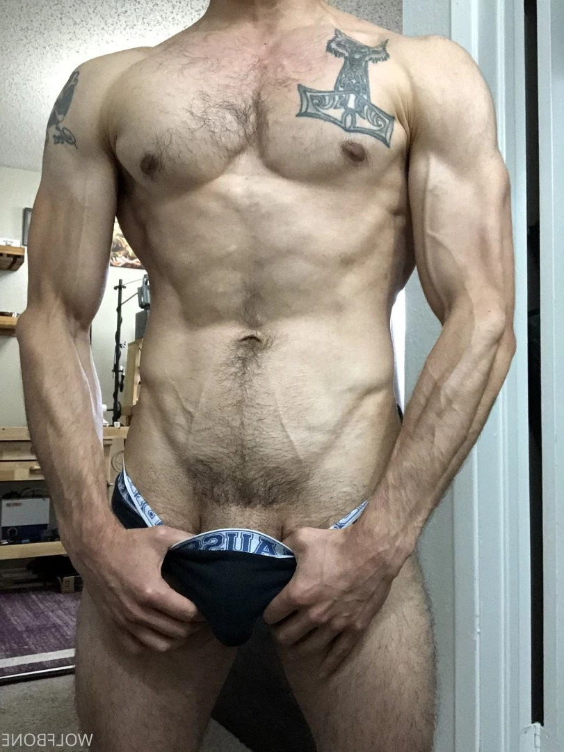 Mr. Wolf 🐺 🌟 [ frute_brute ] Onlyfans leaked photo 3190328 on Hotleaks.tv