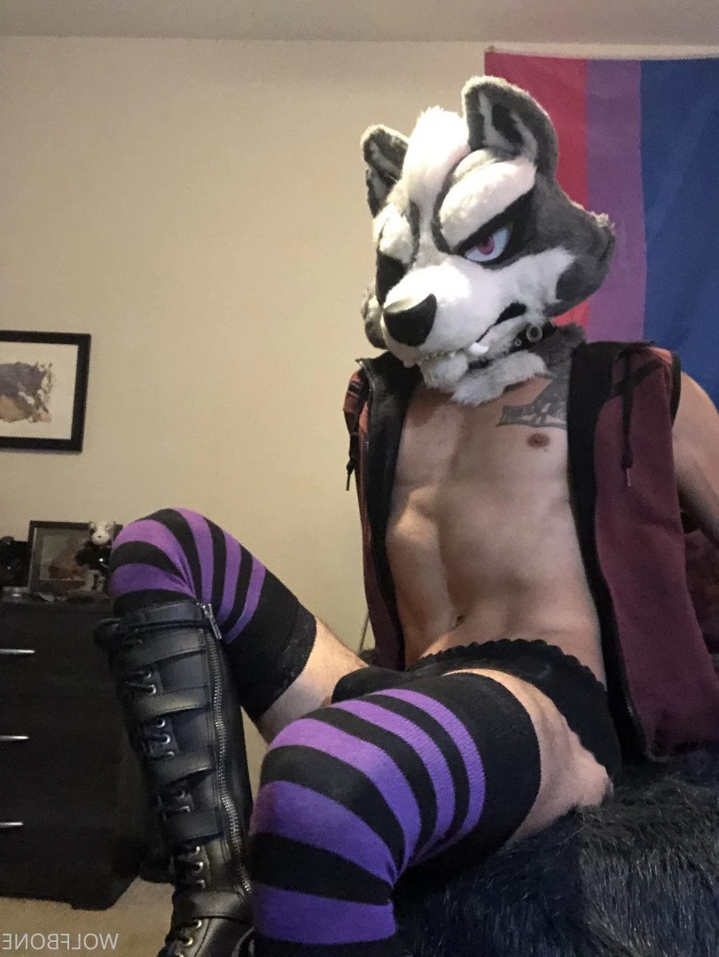 Mr. Wolf 🐺 🌟 [ frute_brute ] Onlyfans leaked photo 3190341 on Hotleaks.tv