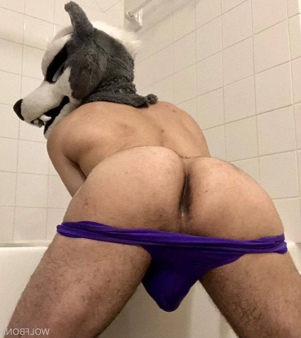 Mr. Wolf 🐺 🌟 [ frute_brute ] Onlyfans leaked photo 3190378 on Hotleaks.tv