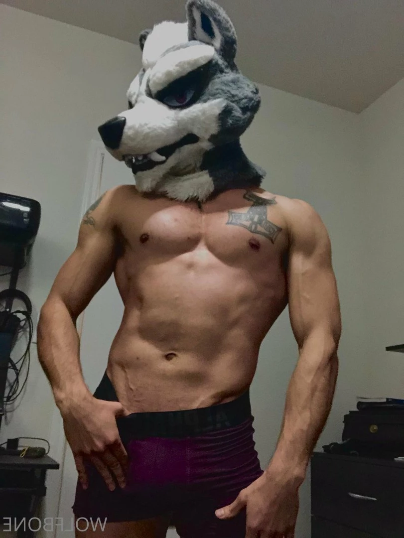 Mr. Wolf 🐺 🌟 [ frute_brute ] Onlyfans leaked photo 3190414 on Hotleaks.tv