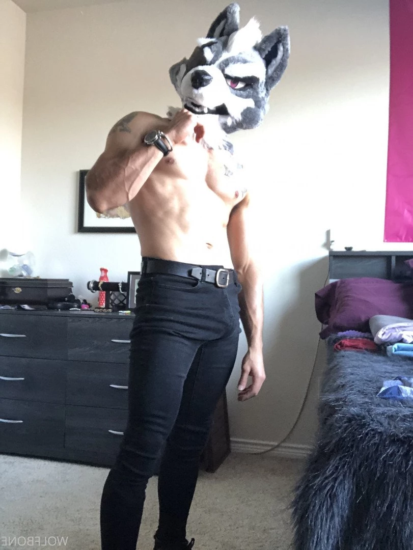 Mr. Wolf 🐺 🌟 [ frute_brute ] Onlyfans leaked photo 3190457 on Hotleaks.tv