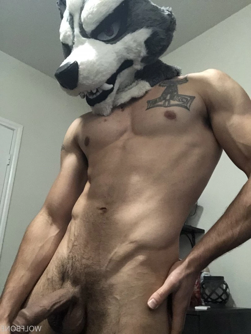 Mr. Wolf 🐺 🌟 [ frute_brute ] Onlyfans leaked photo 3190552 on Hotleaks.tv