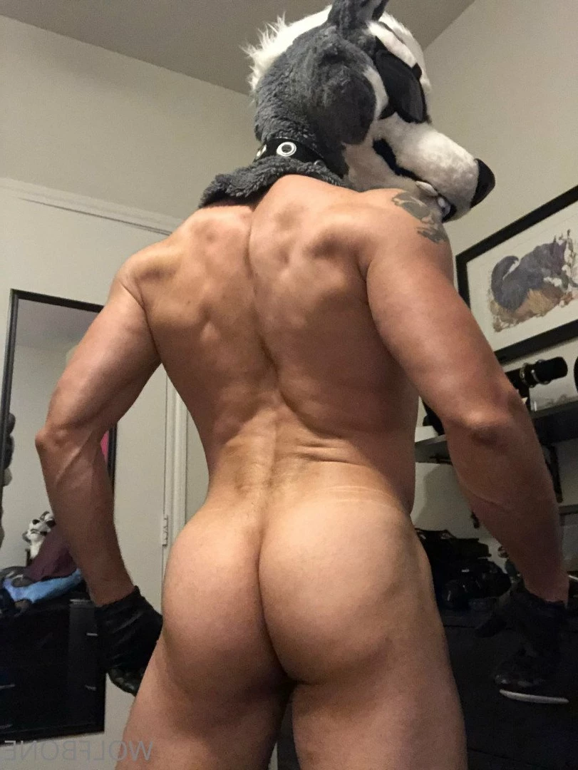 Mr. Wolf 🐺 🌟 [ frute_brute ] Onlyfans leaked photo 3190570 on Hotleaks.tv