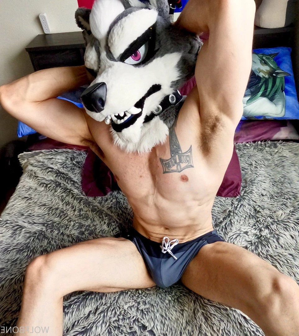 Mr. Wolf 🐺 🌟 [ frute_brute ] Onlyfans leaked photo 3190637 on Hotleaks.tv