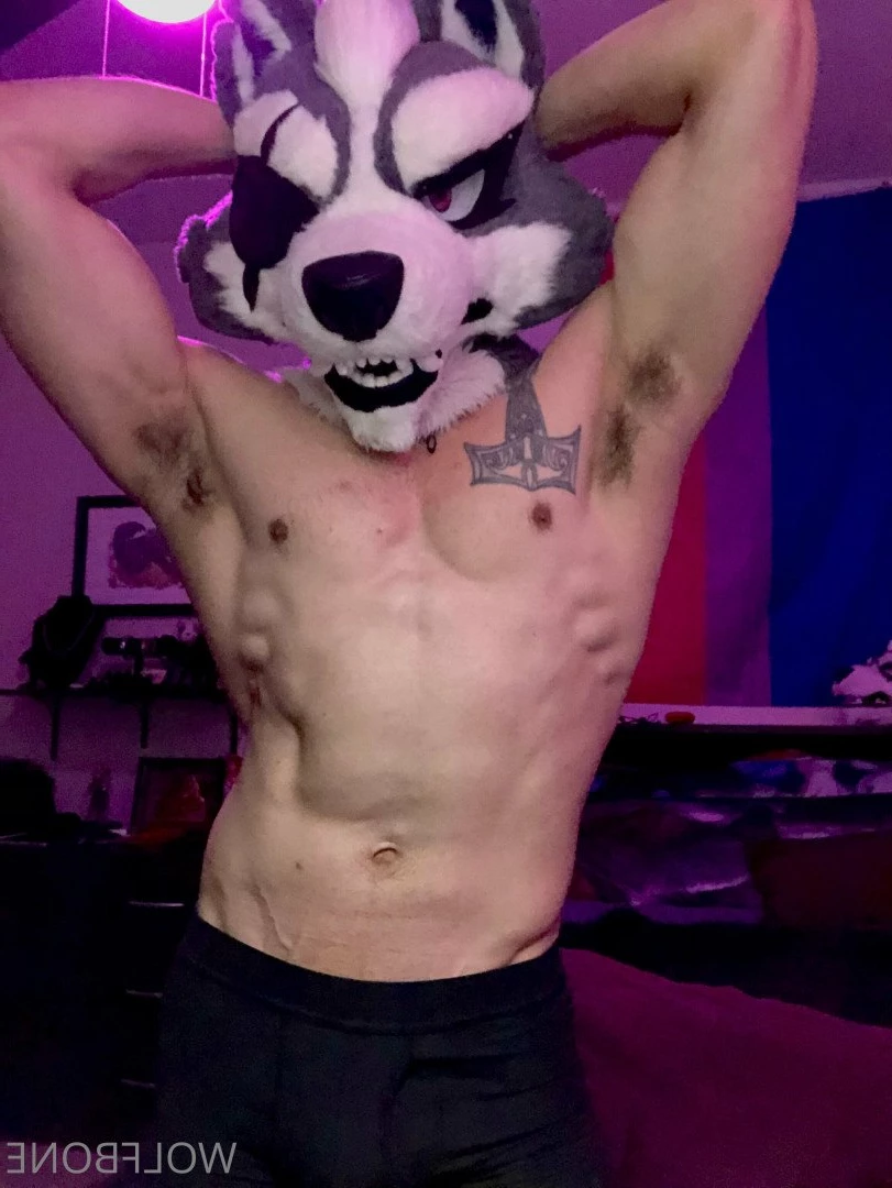 Mr. Wolf 🐺 🌟 [ frute_brute ] Onlyfans leaked photo 3190644 on Hotleaks.tv