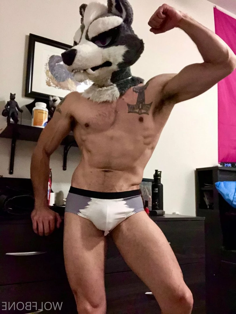 Mr. Wolf 🐺 🌟 [ frute_brute ] Onlyfans leaked photo 3190695 on Hotleaks.tv