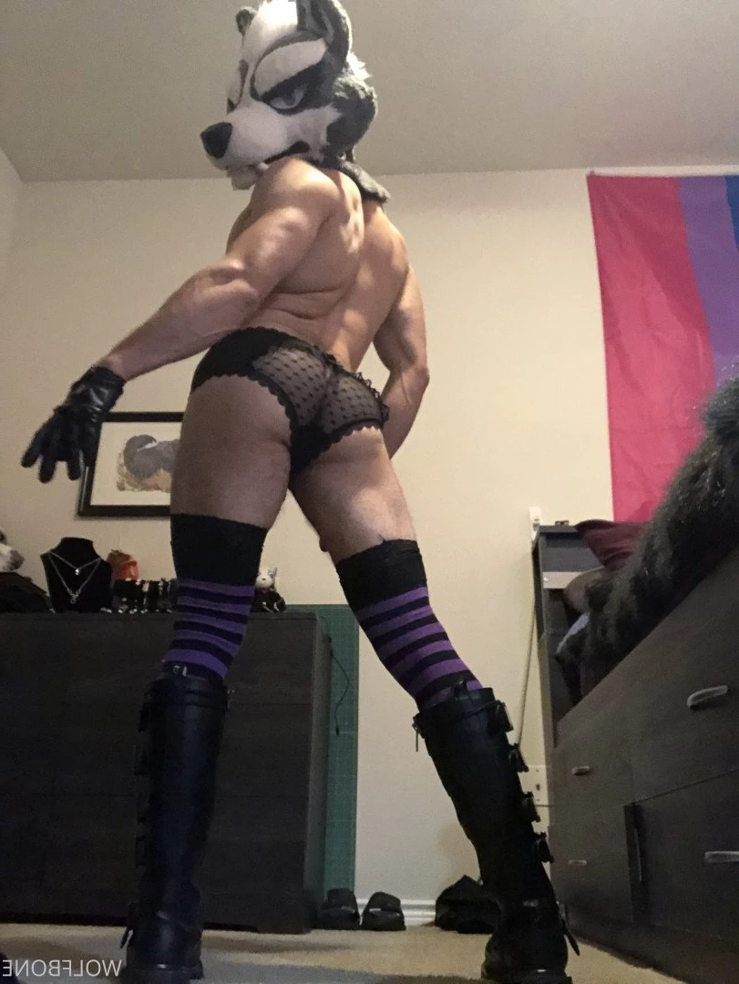 Mr. Wolf 🐺 🌟 [ frute_brute ] Onlyfans leaked photo 3190715 on Hotleaks.tv