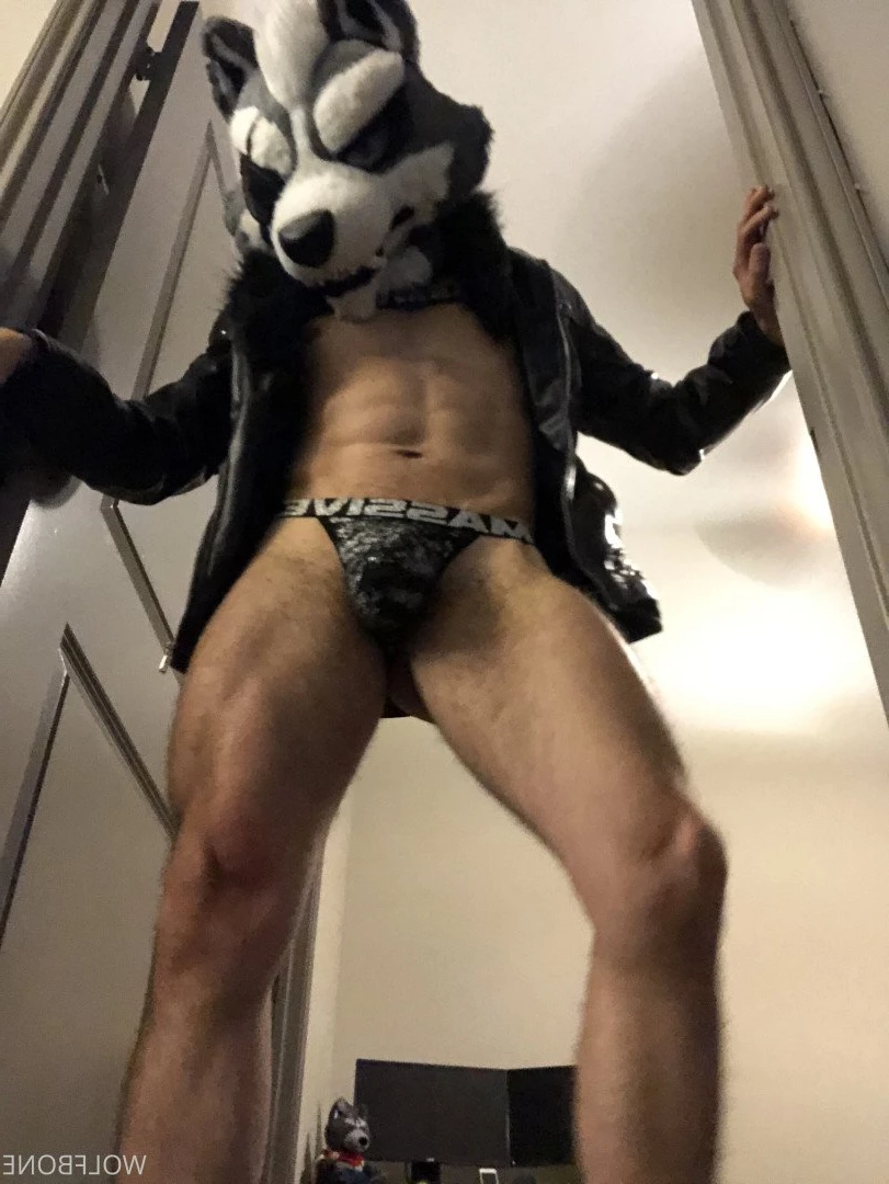 Mr. Wolf 🐺 🌟 [ frute_brute ] Onlyfans leaked photo 3190732 on Hotleaks.tv