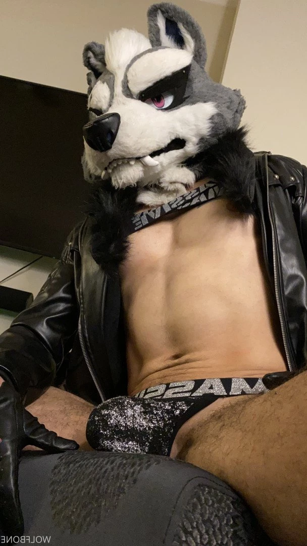 Mr. Wolf 🐺 🌟 [ frute_brute ] Onlyfans leaked photo 3190778 on Hotleaks.tv