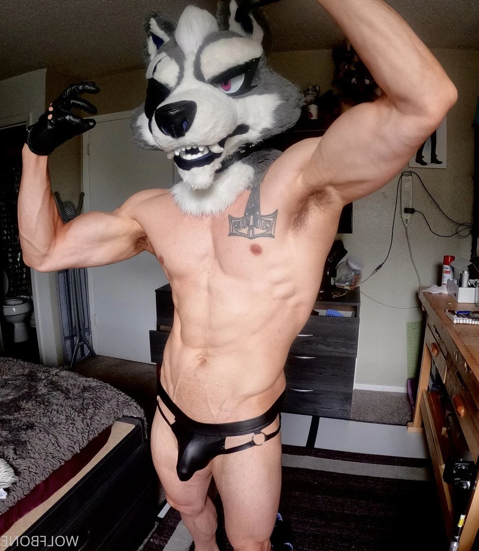 Mr. Wolf 🐺 🌟 [ frute_brute ] Onlyfans leaked photo 3190797 on Hotleaks.tv