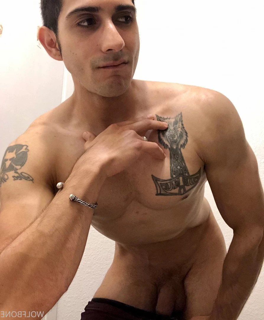 Mr. Wolf 🐺 🌟 [ frute_brute ] Onlyfans leaked photo 3190815 on Hotleaks.tv