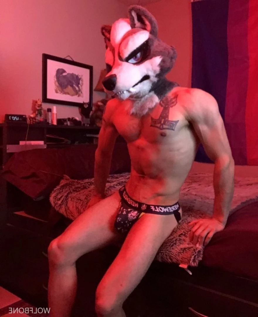 Mr. Wolf 🐺 🌟 [ frute_brute ] Onlyfans leaked photo 3190842 on Hotleaks.tv