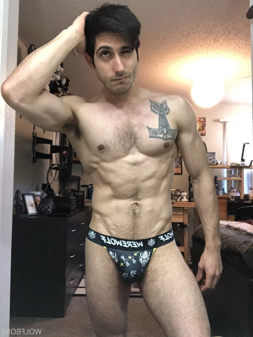 Mr. Wolf 🐺 🌟 [ frute_brute ] Onlyfans leaked photo 3190960 on Hotleaks.tv