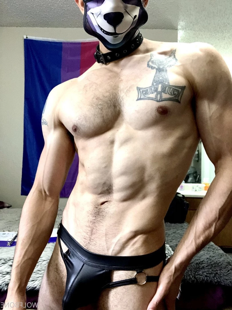Mr. Wolf 🐺 🌟 [ frute_brute ] Onlyfans leaked photo 3191015 on Hotleaks.tv