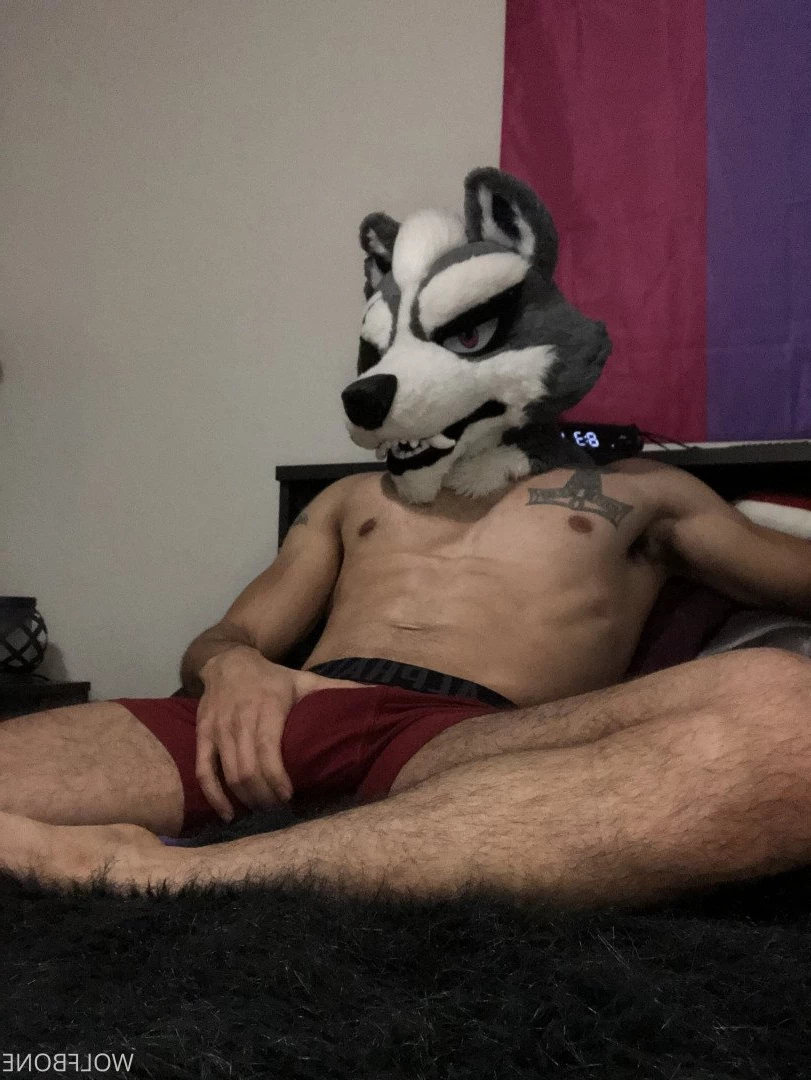 Mr. Wolf 🐺 🌟 [ frute_brute ] Onlyfans leaked photo 3191067 on Hotleaks.tv