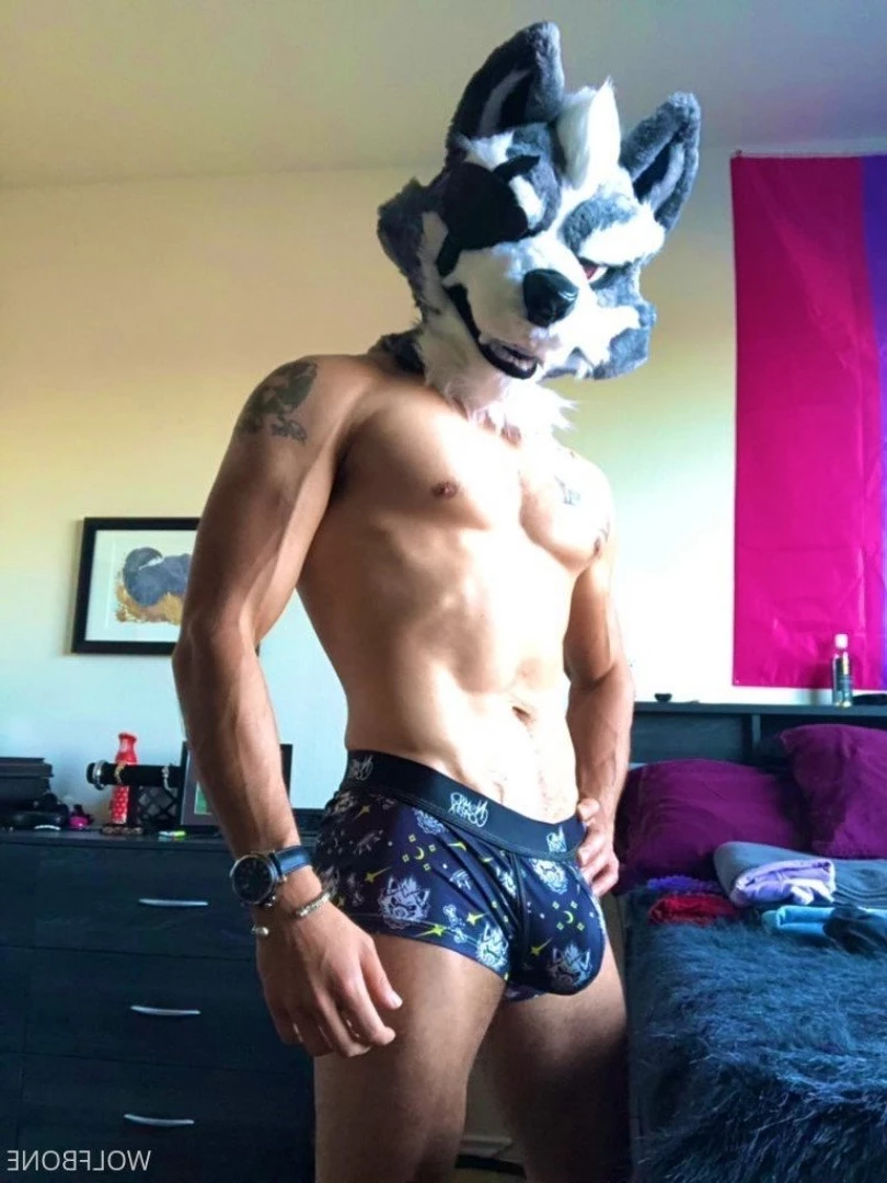 Mr. Wolf 🐺 🌟 [ frute_brute ] Onlyfans leaked photo 3191100 on Hotleaks.tv