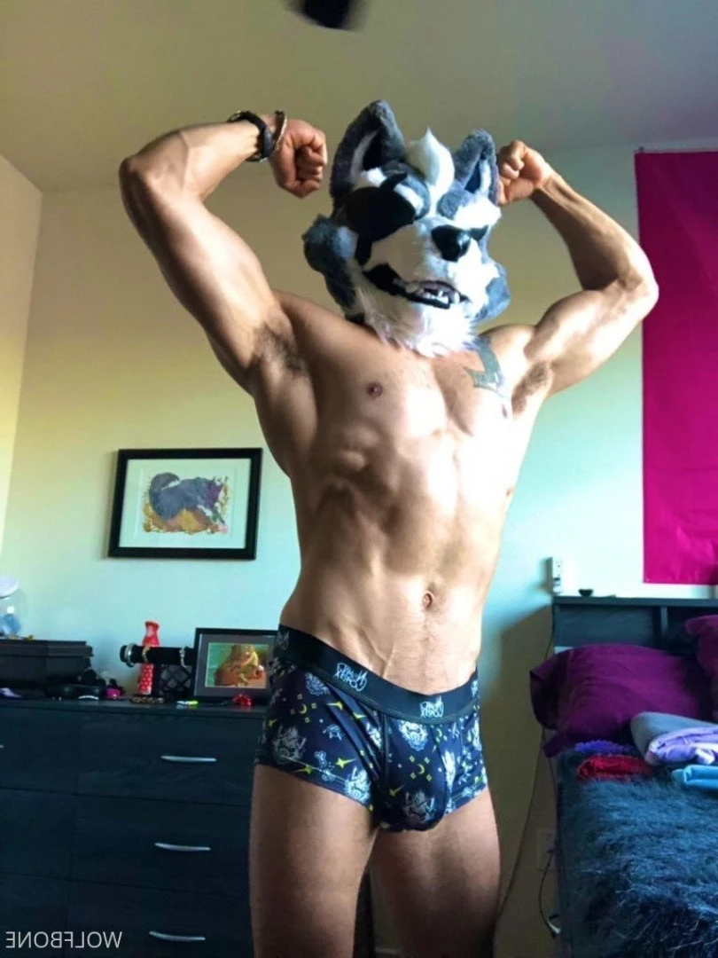 Mr. Wolf 🐺 🌟 [ frute_brute ] Onlyfans leaked photo 3191144 on Hotleaks.tv
