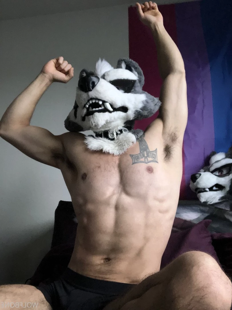 Mr. Wolf 🐺 🌟 [ frute_brute ] Onlyfans leaked photo 3191157 on Hotleaks.tv