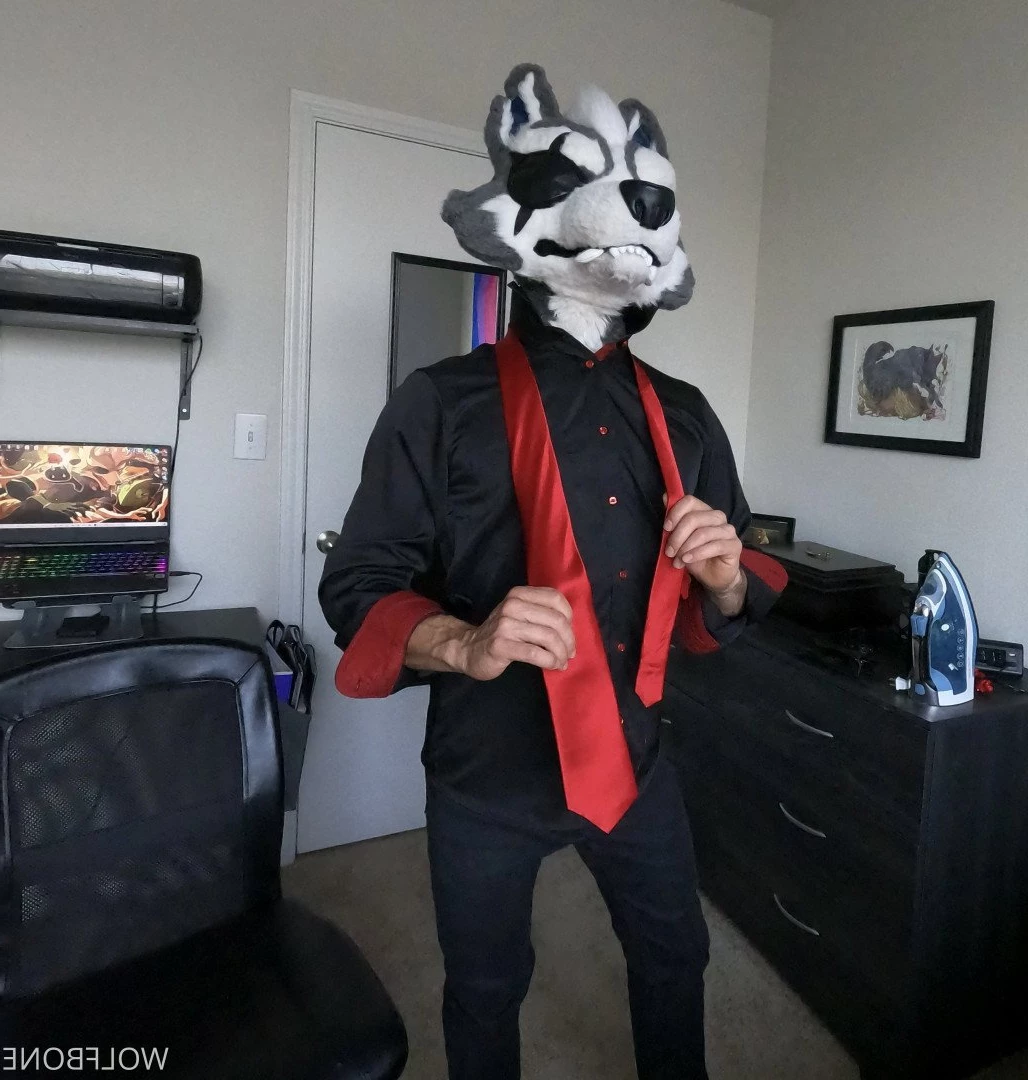 Mr. Wolf 🐺 🌟 [ frute_brute ] Onlyfans leaked photo 3191209 on Hotleaks.tv