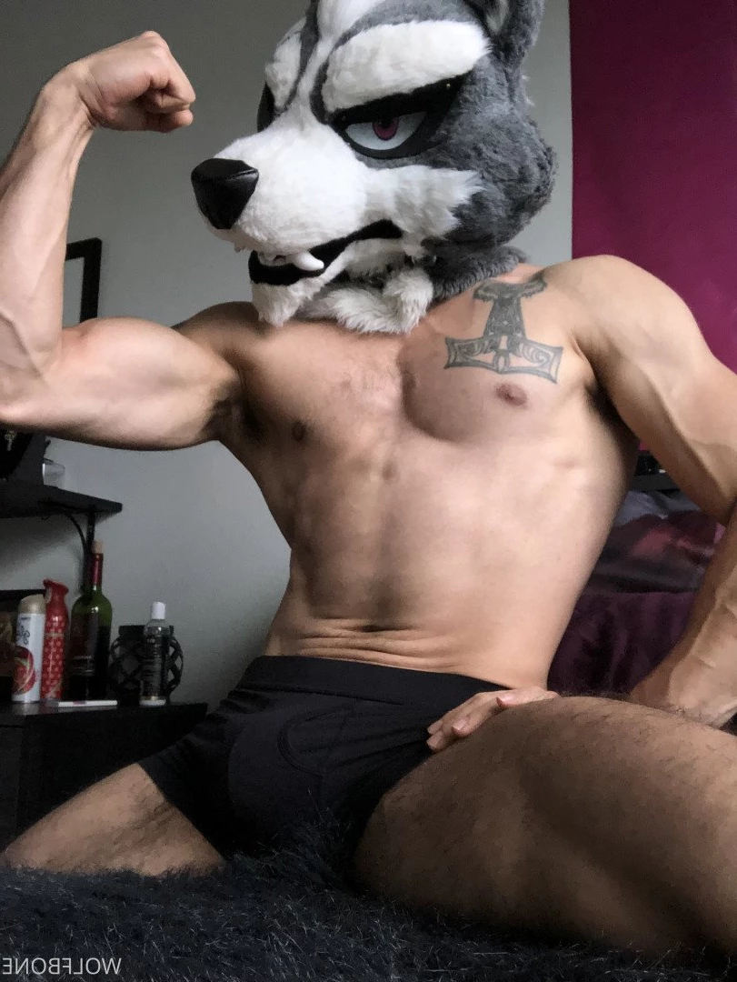 Mr. Wolf 🐺 🌟 [ frute_brute ] Onlyfans leaked photo 3191216 on Hotleaks.tv