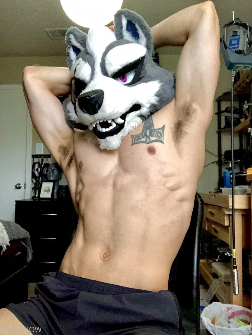 Mr. Wolf 🐺 🌟 [ frute_brute ] Onlyfans leaked photo 3191237 on Hotleaks.tv