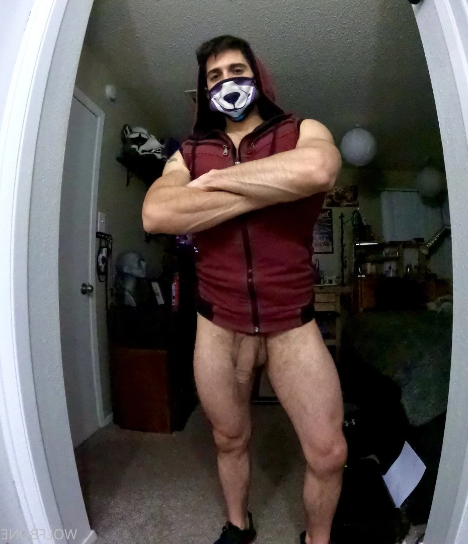 Mr. Wolf 🐺 🌟 [ frute_brute ] Onlyfans leaked photo 3191268 on Hotleaks.tv