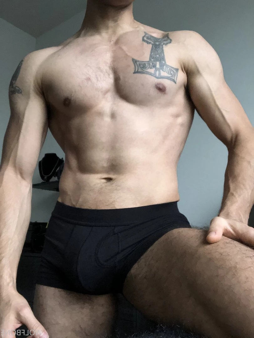 Mr. Wolf 🐺 🌟 [ frute_brute ] Onlyfans leaked photo 3191347 on Hotleaks.tv