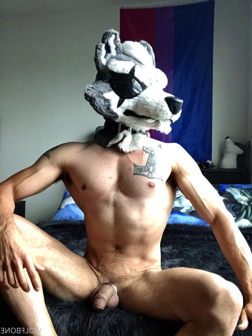 Mr. Wolf 🐺 🌟 [ frute_brute ] Onlyfans leaked photo 3191407 on Hotleaks.tv