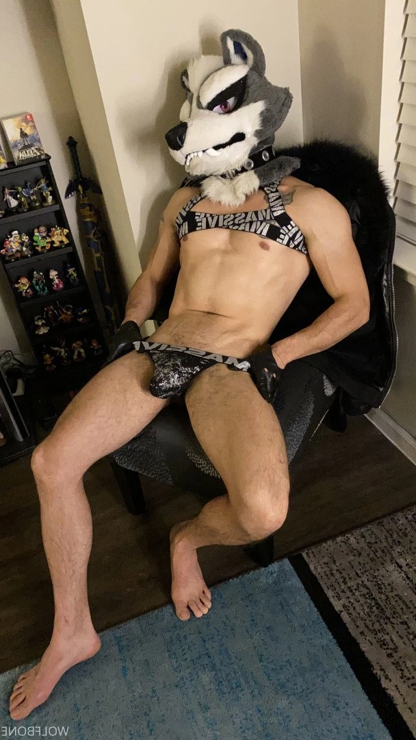 Mr. Wolf 🐺 🌟 [ frute_brute ] Onlyfans leaked photo 3191427 on Hotleaks.tv