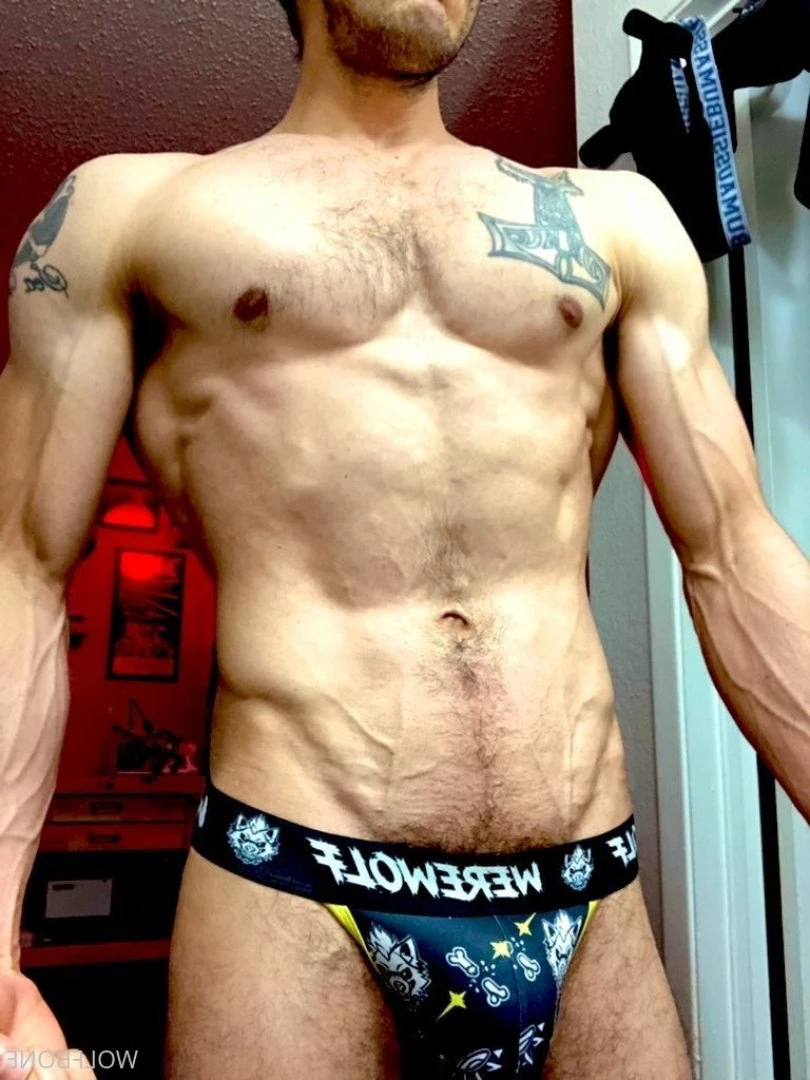 Mr. Wolf 🐺 🌟 [ frute_brute ] Onlyfans leaked photo 3191466 on Hotleaks.tv