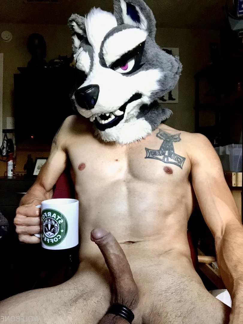 Mr. Wolf 🐺 🌟 [ frute_brute ] Onlyfans leaked photo 3191506 on Hotleaks.tv