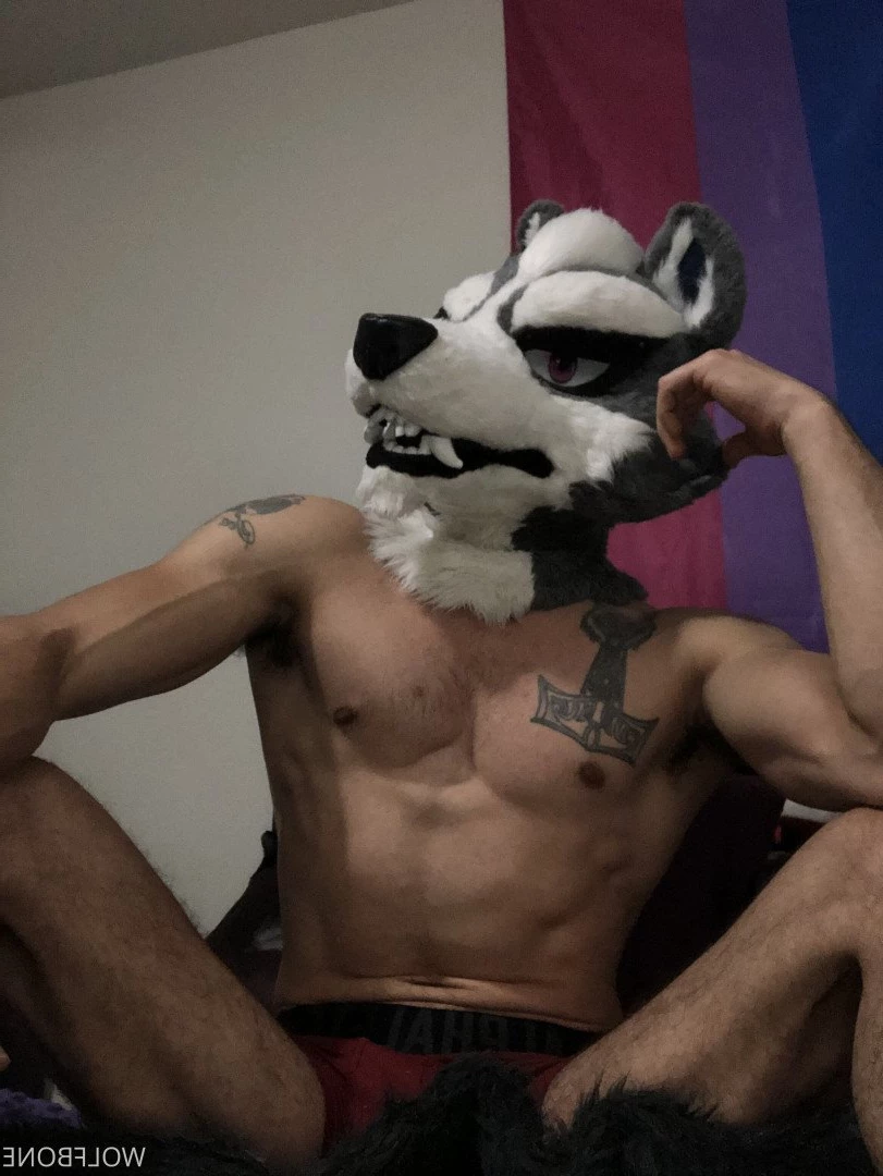 Mr. Wolf 🐺 🌟 [ frute_brute ] Onlyfans leaked photo 3191531 on Hotleaks.tv