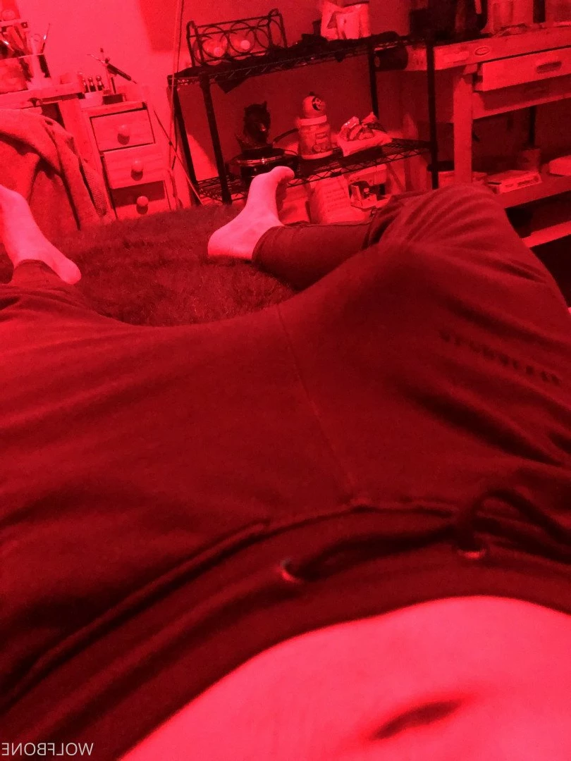 Mr. Wolf 🐺 🌟 [ frute_brute ] Onlyfans leaked photo 3191646 on Hotleaks.tv