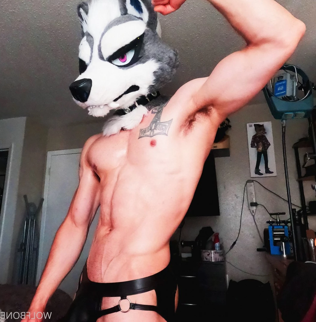 Mr. Wolf 🐺 🌟 [ frute_brute ] Onlyfans leaked photo 3191656 on Hotleaks.tv