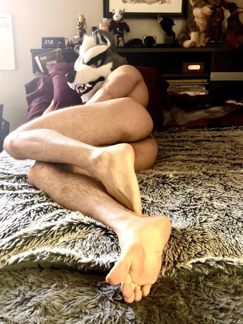 Mr. Wolf 🐺 🌟 [ frute_brute ] Onlyfans leaked photo 3191686 on Hotleaks.tv