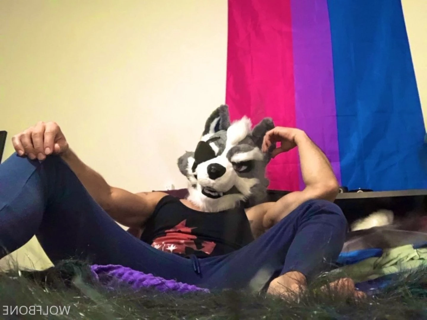 Mr. Wolf 🐺 🌟 [ frute_brute ] Onlyfans leaked photo 3191688 on Hotleaks.tv