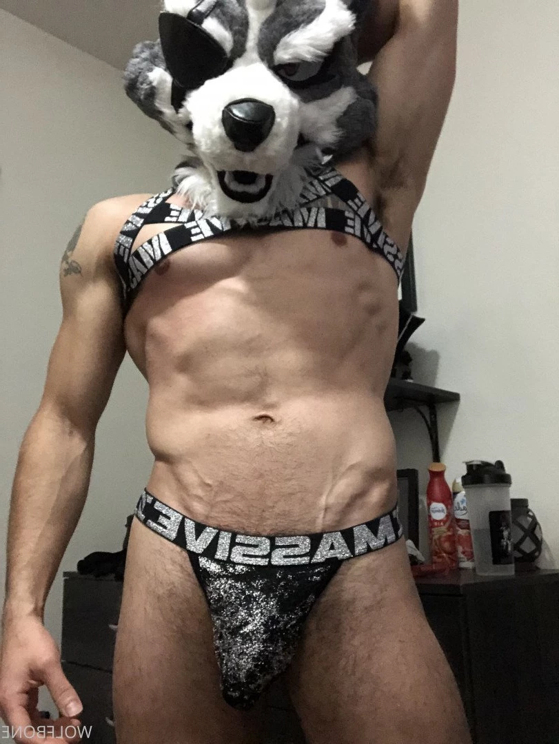 Mr. Wolf 🐺 🌟 [ frute_brute ] Onlyfans leaked photo 3191715 on Hotleaks.tv