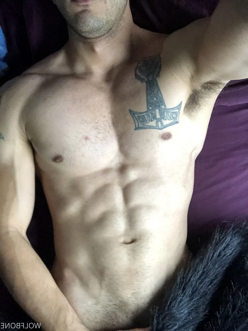 Mr. Wolf 🐺 🌟 [ frute_brute ] Onlyfans leaked photo 3191751 on Hotleaks.tv