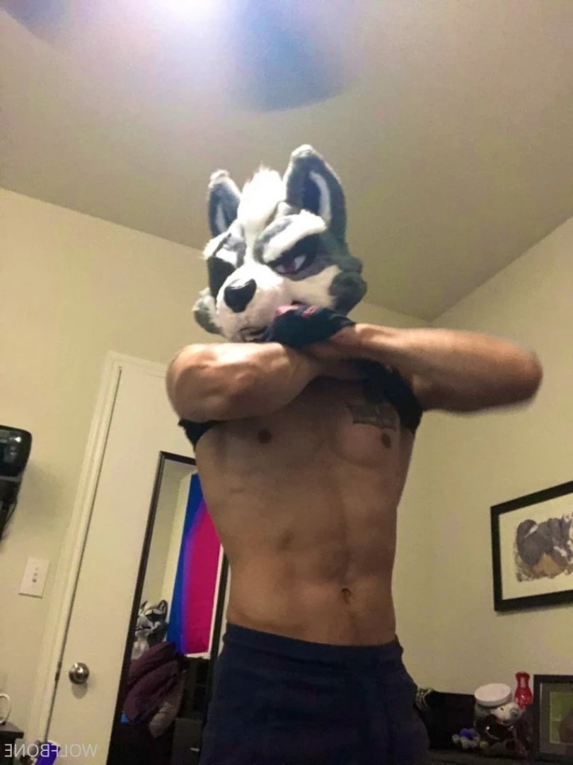 Mr. Wolf 🐺 🌟 [ frute_brute ] Onlyfans leaked photo 3191805 on Hotleaks.tv