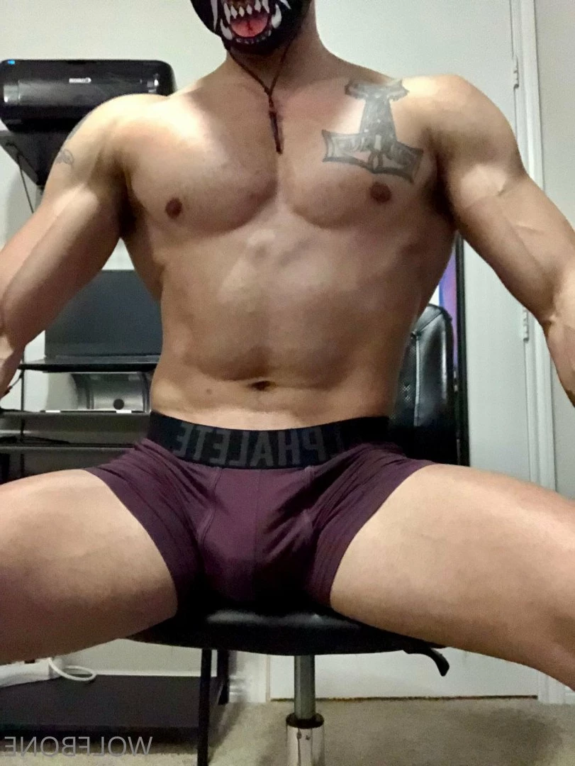 Mr. Wolf 🐺 🌟 [ frute_brute ] Onlyfans leaked photo 3191851 on Hotleaks.tv
