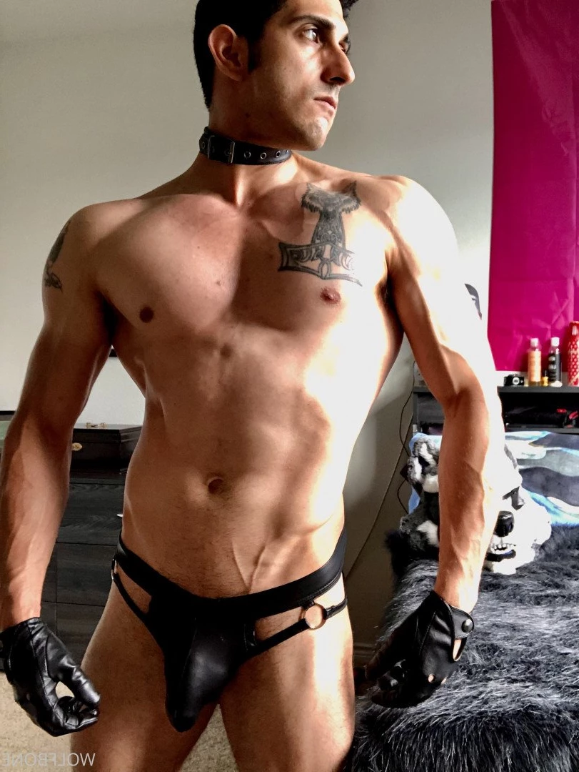 Mr. Wolf 🐺 🌟 [ frute_brute ] Onlyfans leaked photo 3191887 on Hotleaks.tv