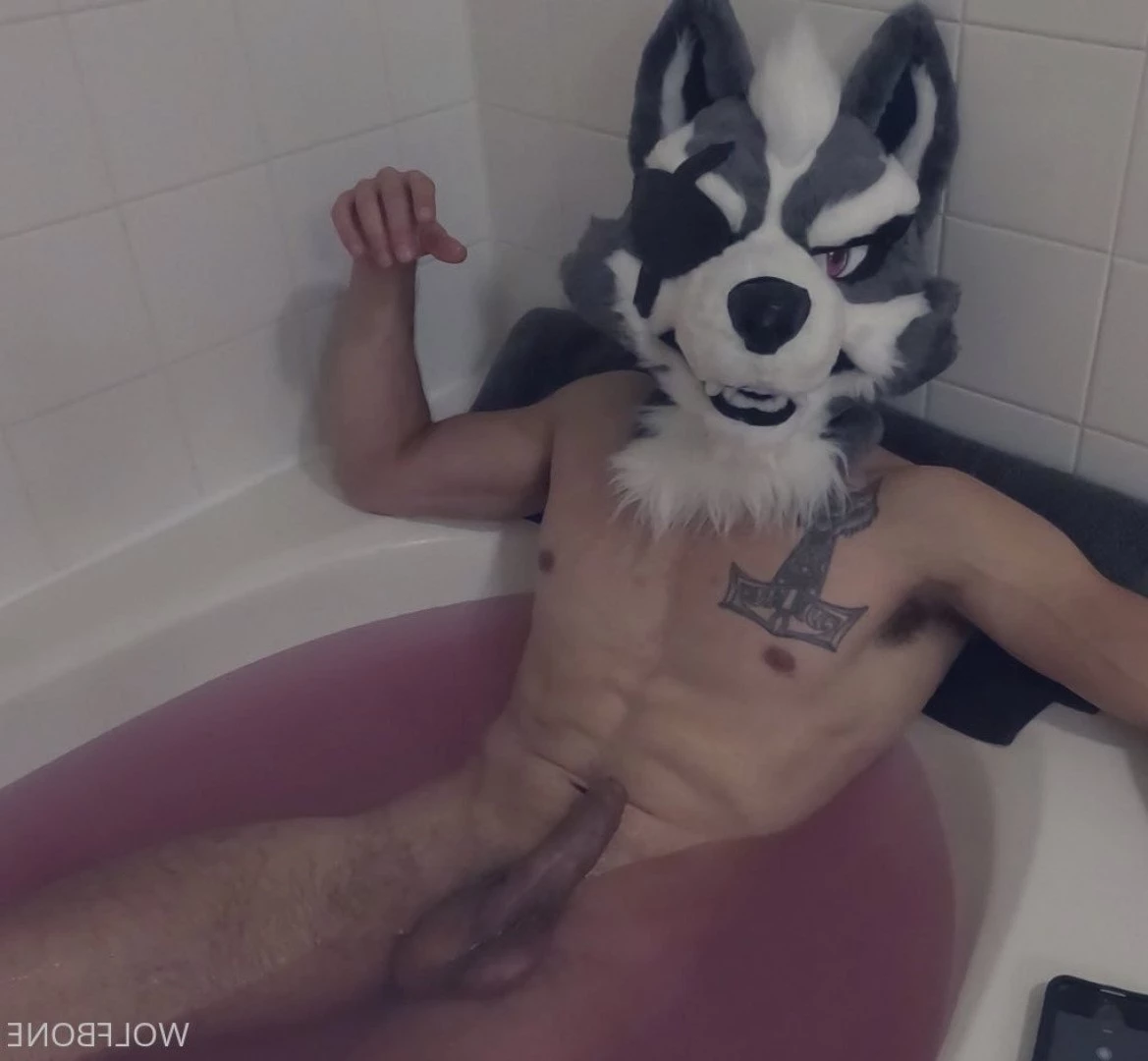 Mr. Wolf 🐺 🌟 [ frute_brute ] Onlyfans leaked photo 3192014 on Hotleaks.tv