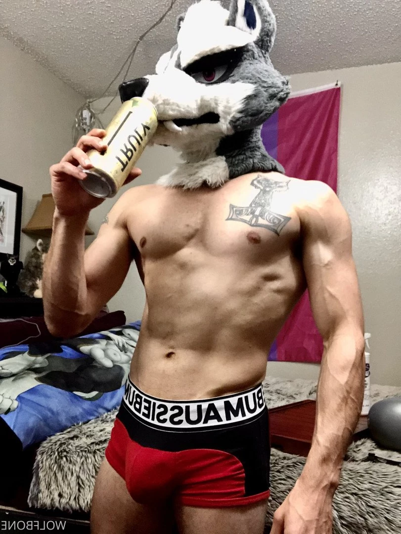Mr. Wolf 🐺 🌟 [ frute_brute ] Onlyfans leaked photo 3192034 on Hotleaks.tv