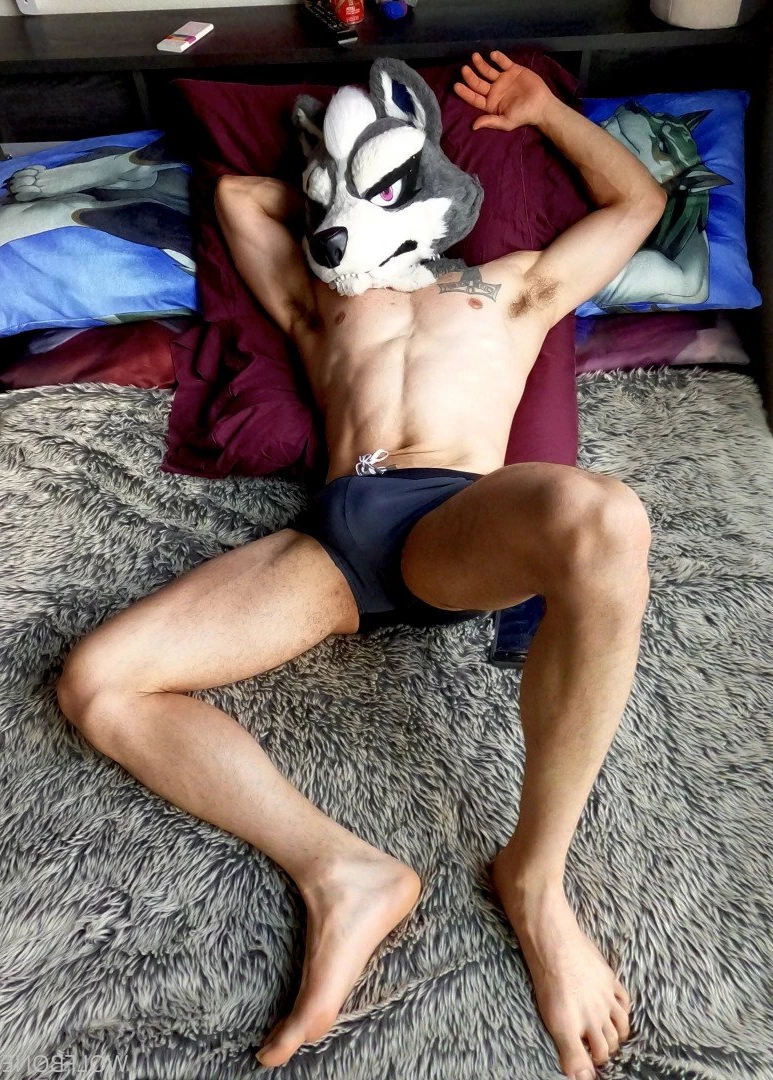 Mr. Wolf 🐺 🌟 [ frute_brute ] Onlyfans leaked photo 3192086 on Hotleaks.tv