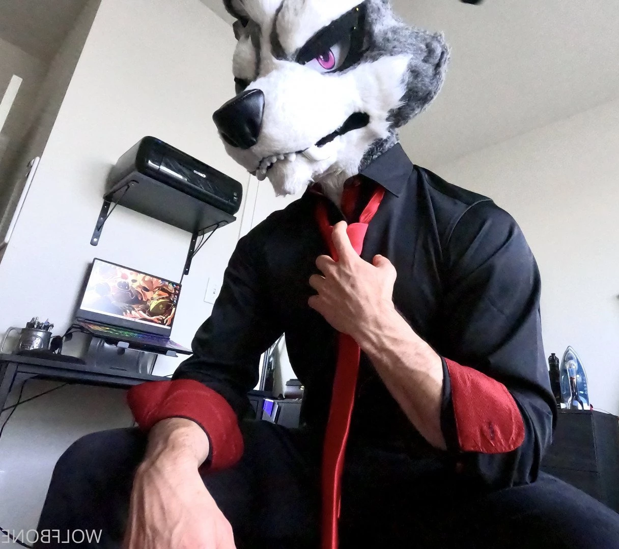 Mr. Wolf 🐺 🌟 [ frute_brute ] Onlyfans leaked photo 3192132 on Hotleaks.tv