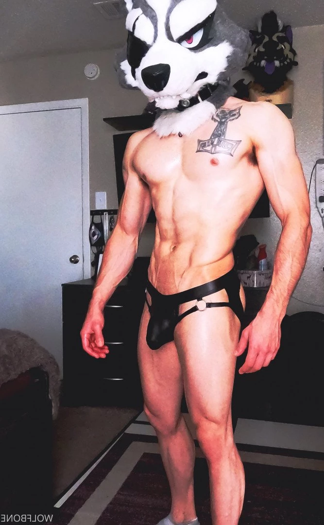 Mr. Wolf 🐺 🌟 [ frute_brute ] Onlyfans leaked photo 3192162 on Hotleaks.tv