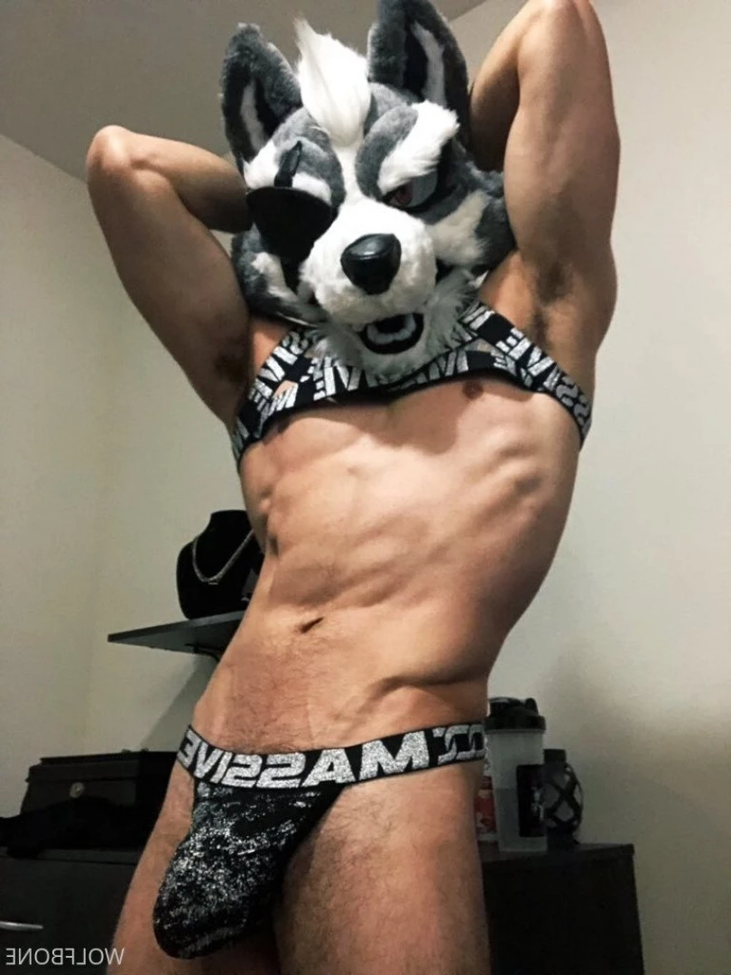 Mr. Wolf 🐺 🌟 [ frute_brute ] Onlyfans leaked photo 3192193 on Hotleaks.tv