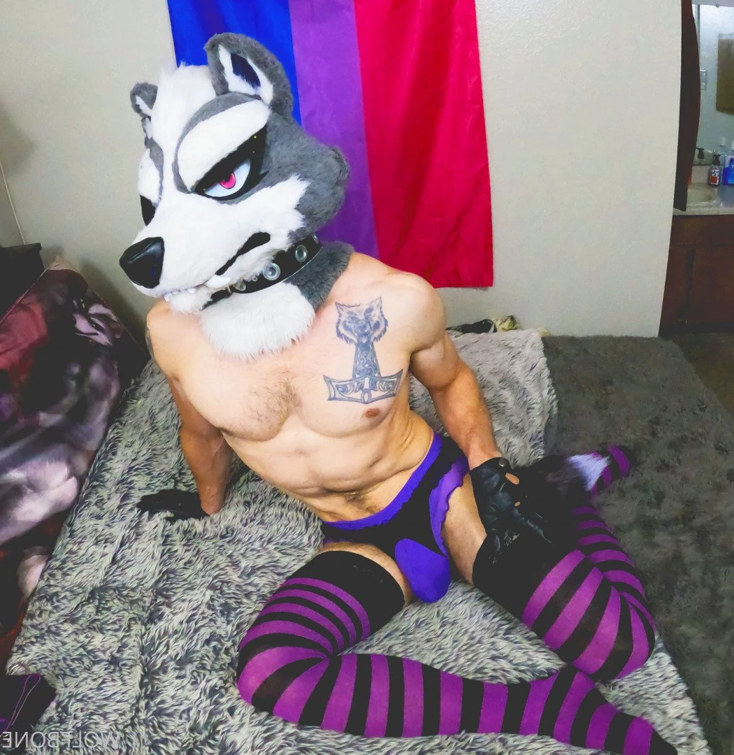 Mr. Wolf 🐺 🌟 [ frute_brute ] Onlyfans leaked photo 3192225 on Hotleaks.tv