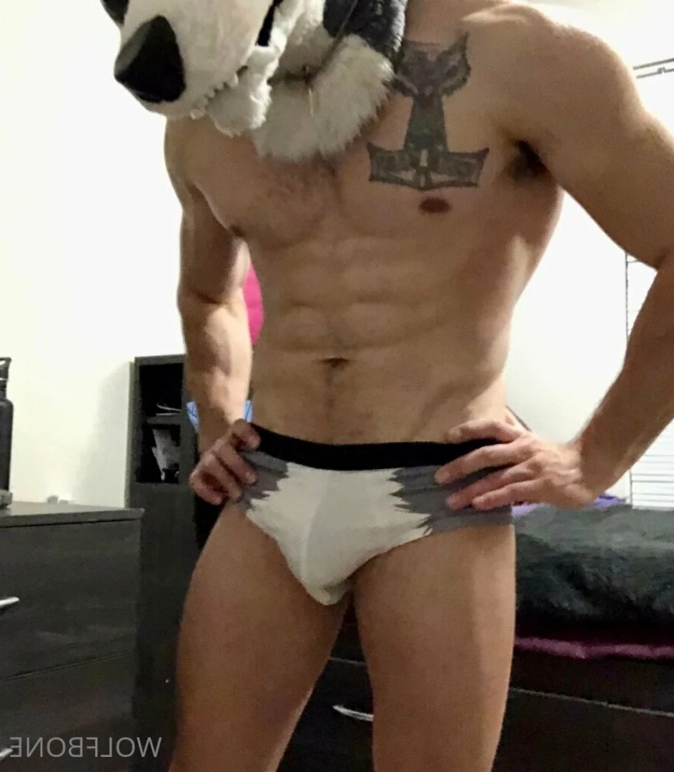 Mr. Wolf 🐺 🌟 [ frute_brute ] Onlyfans leaked photo 3192269 on Hotleaks.tv